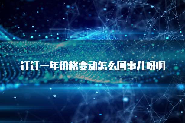 钉钉一年价格变动怎么回事儿呀啊