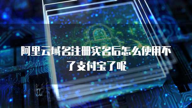阿里云域名注册实名后怎么使用不了支付宝了呢