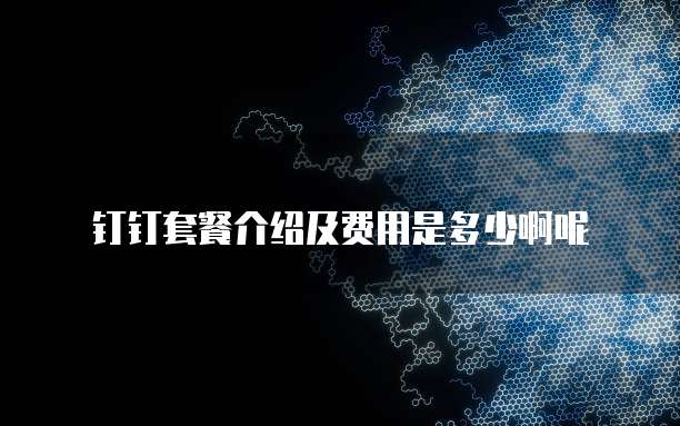 钉钉套餐介绍及费用是多少啊呢