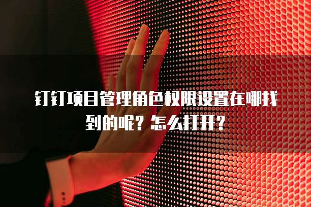 钉钉项目管理角色权限设置在哪找到的呢？怎么打开？