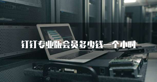 钉钉专业版会员多少钱一个小时