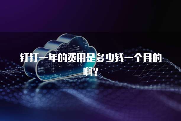 钉钉一年的费用是多少钱一个月的啊?