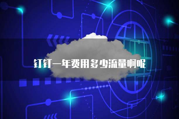 钉钉一年费用多少流量啊呢