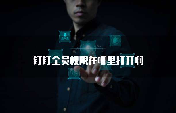 钉钉全员权限在哪里打开啊