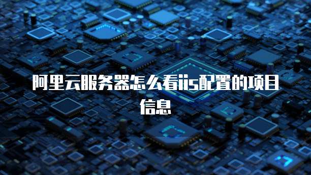 阿里云服务器怎么看iis配置的项目信息