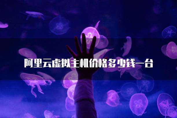 阿里云虚拟主机价格多少钱一台