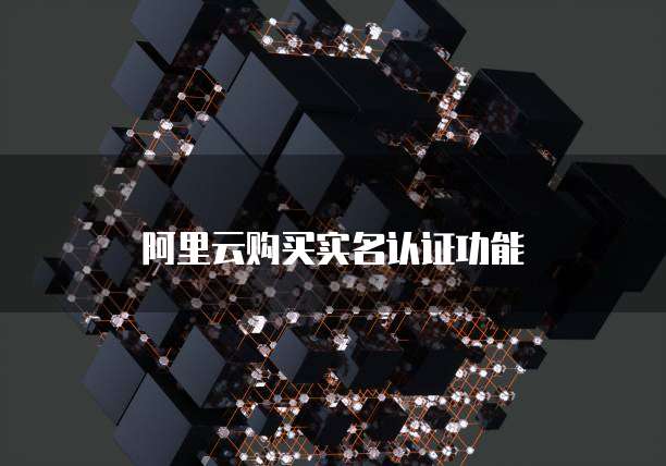 阿里云购买实名认证功能