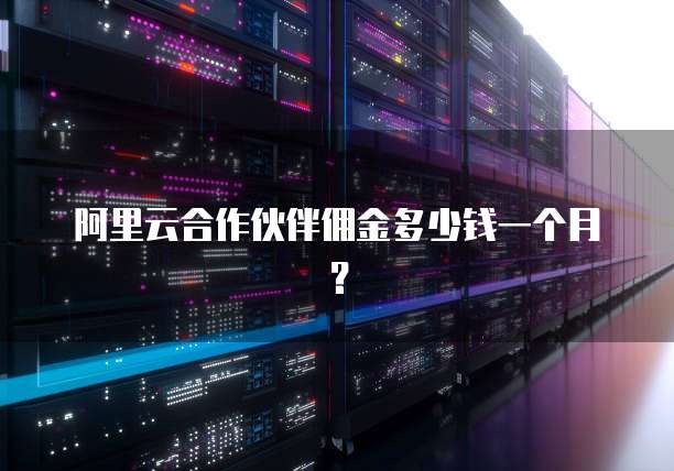 阿里云合作伙伴佣金多少钱一个月？