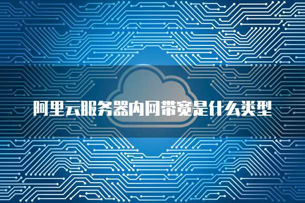 阿里云服务器内网带宽是什么类型