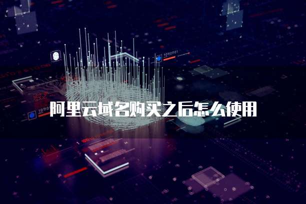 阿里云域名购买之后怎么使用