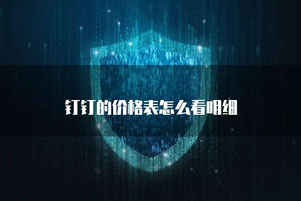 钉钉的价格表怎么看明细