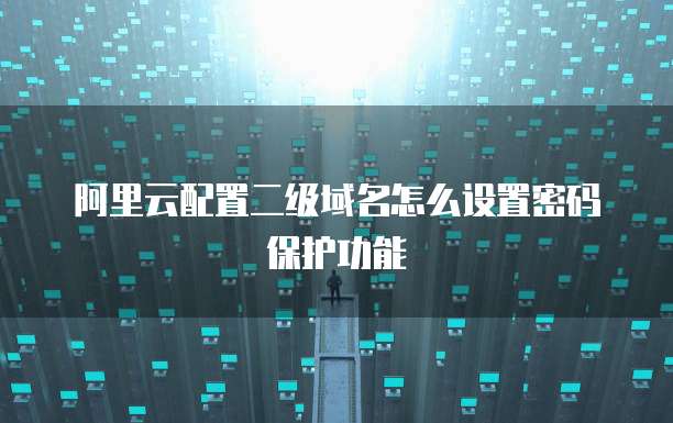阿里云配置二级域名怎么设置密码保护功能