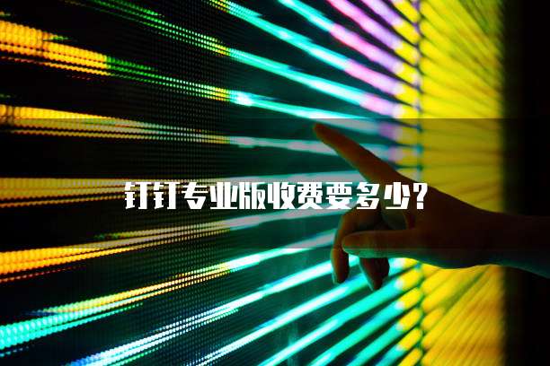 钉钉专业版收费要多少？
