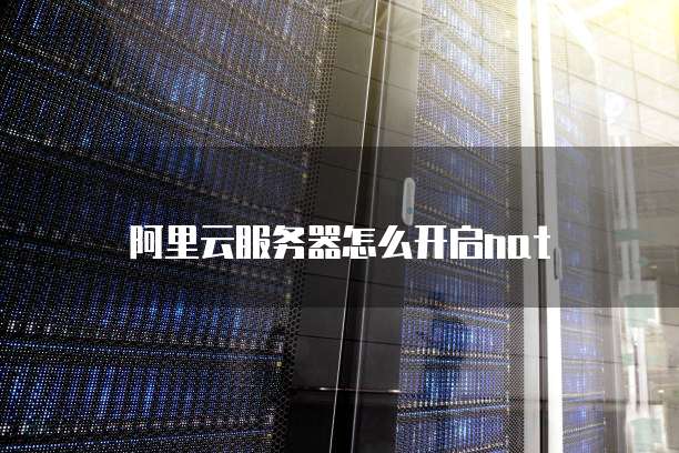 阿里云服务器怎么开启nat
