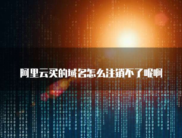 阿里云买的域名怎么注销不了呢啊