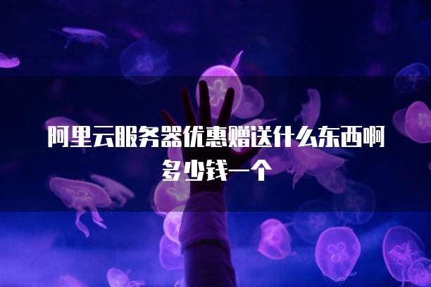 阿里云服务器优惠赠送什么东西啊多少钱一个