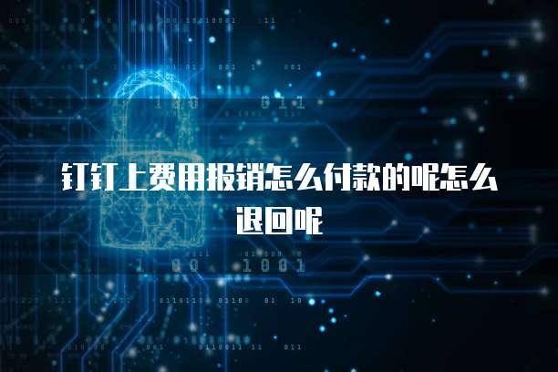 钉钉上费用报销怎么付款的呢怎么退回呢