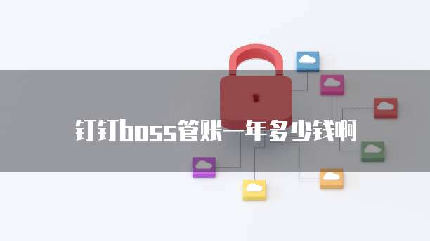 钉钉boss管账一年多少钱啊