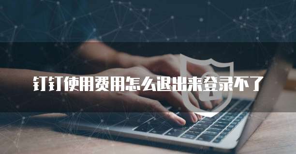 钉钉使用费用怎么退出来登录不了