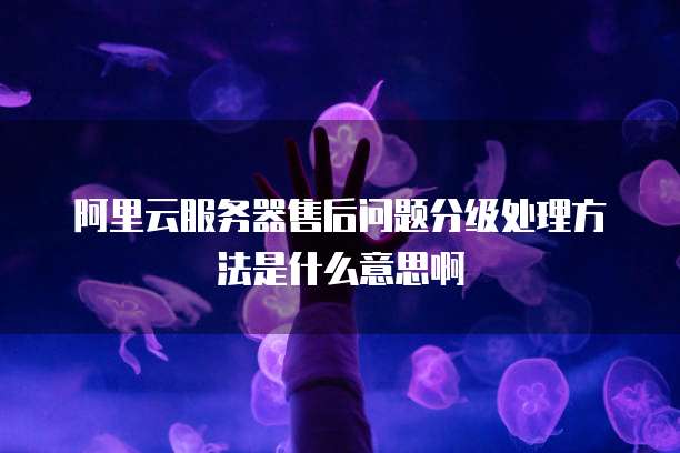 阿里云服务器售后问题分级处理方法是什么意思啊