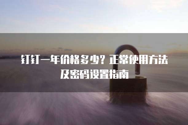 钉钉一年价格多少?正常使用方法及密码设置指南
