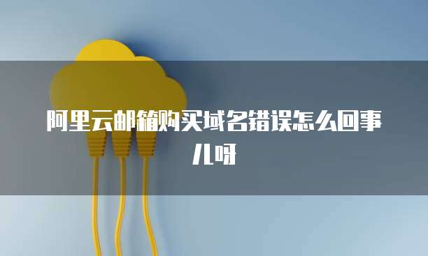 阿里云邮箱购买域名错误怎么回事儿呀