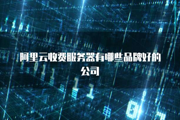 阿里云收费服务器有哪些品牌好的公司