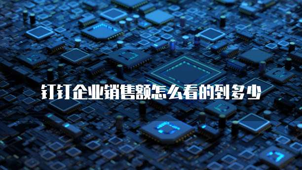 钉钉企业销售额怎么看的到多少