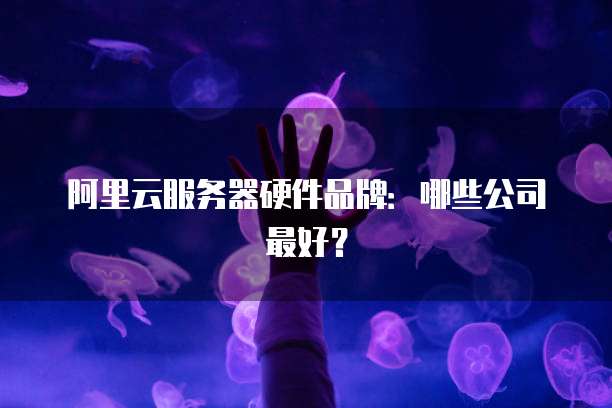 阿里云服务器硬件品牌:哪些公司最好?