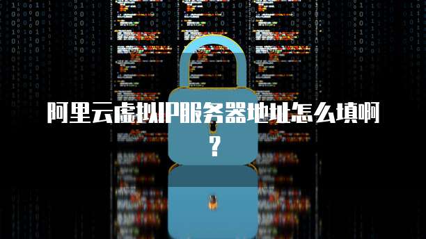 阿里云虚拟IP服务器地址怎么填啊?
