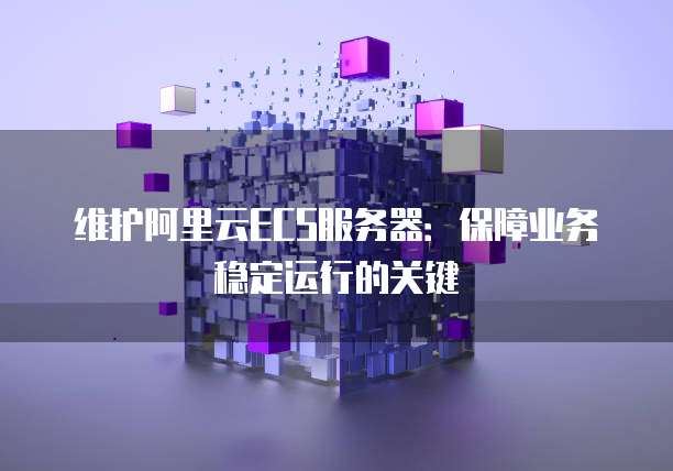 维护阿里云ECS服务器:保障业务稳定运行的关键