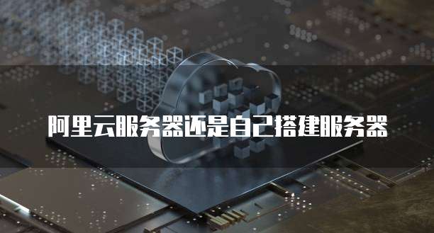 阿里云服务器还是自己搭建服务器