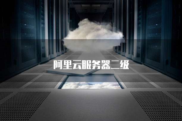 阿里云服务器二级