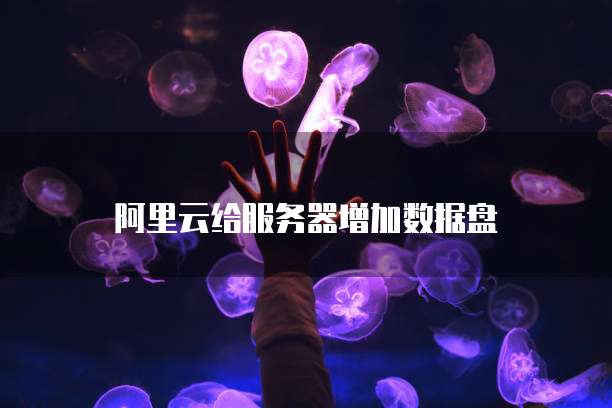 阿里云给服务器增加数据盘