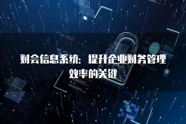财会信息系统：提升企业财务管理效率的关键