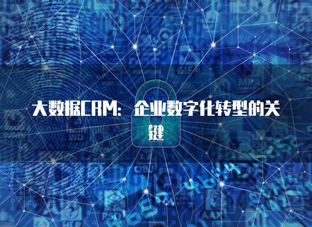 大数据CRM:企业数字化转型的关键