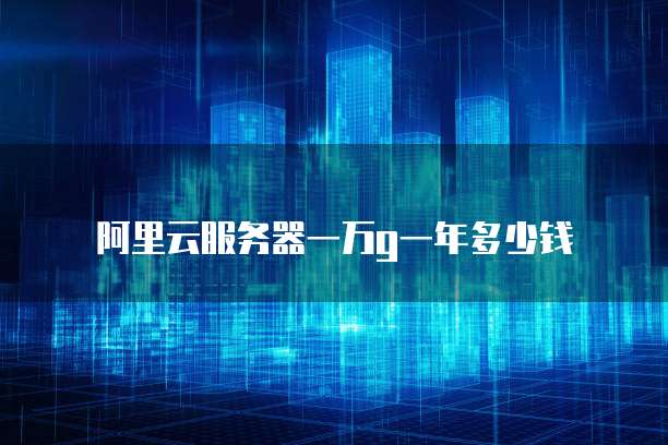 阿里云服务器一万g一年多少钱