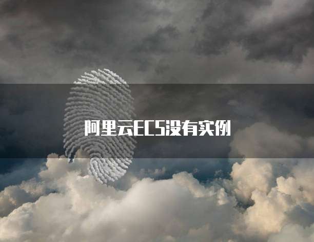阿里云ECS没有实例