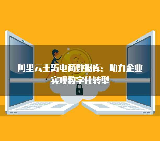 阿里云王涛电商数据库：助力企业实现数字化转型