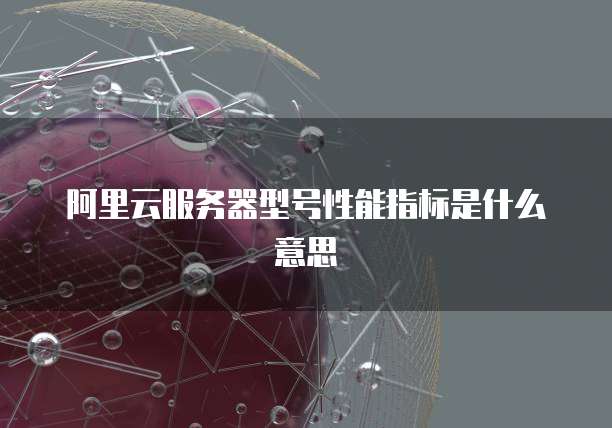 阿里云服务器型号性能指标是什么意思