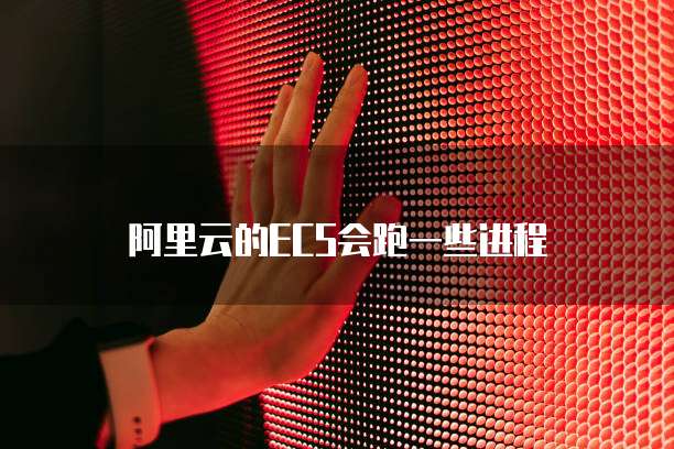 阿里云的ECS会跑一些进程