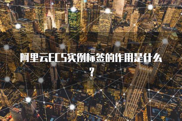 阿里云ECS实例标签的作用是什么？