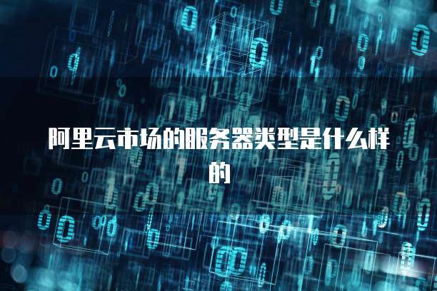 阿里云市场的服务器类型是什么样的