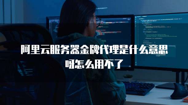 阿里云服务器金牌代理是什么意思呀怎么用不了
