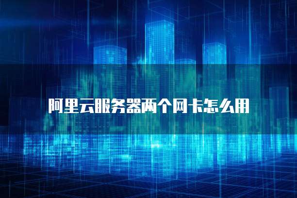 阿里云服务器两个网卡怎么用