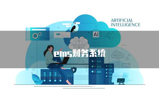 ems财务系统