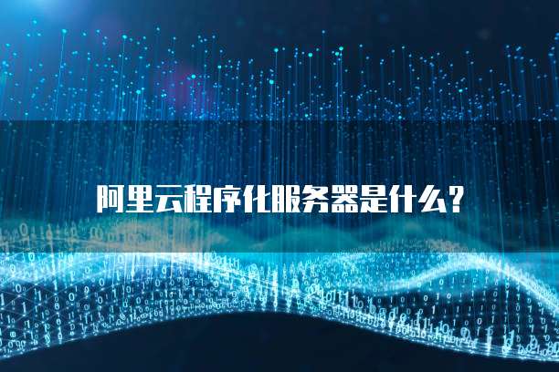 阿里云程序化服务器是什么?