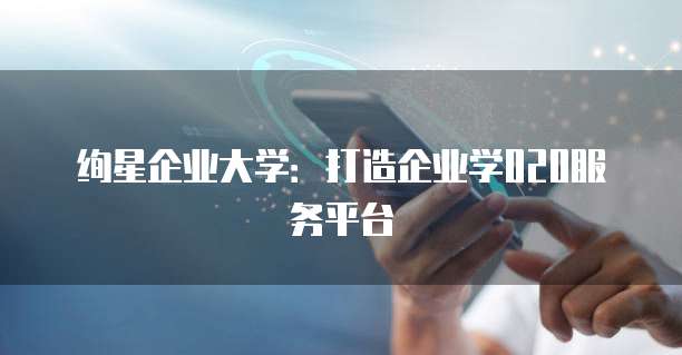 绚星企业大学:打造企业学020服务平台