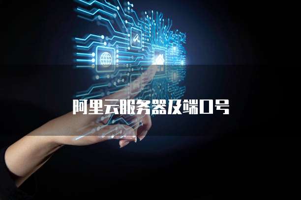 阿里云服务器及端口号