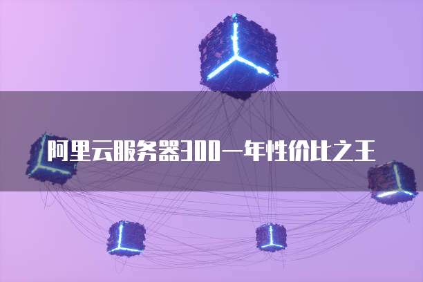 阿里云服务器300一年性价比之王